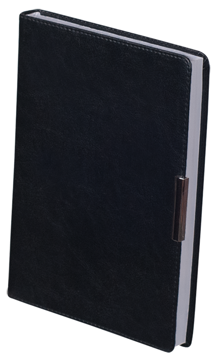 Ежедневник недатированный SALERMO, A5, 288 стр черный фото