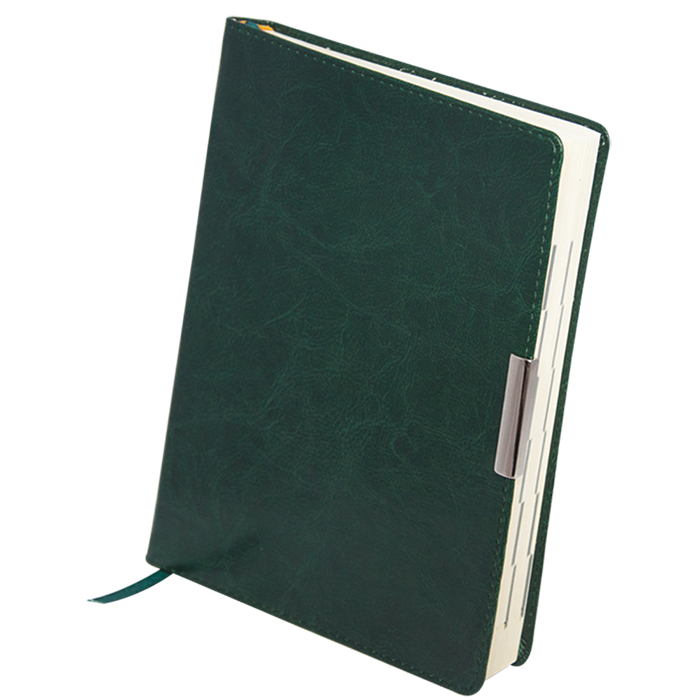 Ежедневник датированный SALERNO, A4, 336 стр зеленый фото